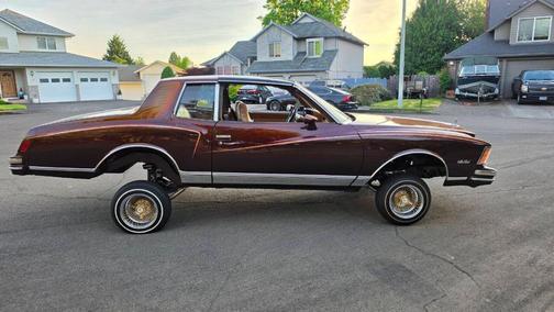 Brown 1978 Chevrolet Monte Carlo T-TOPÂ Â 350