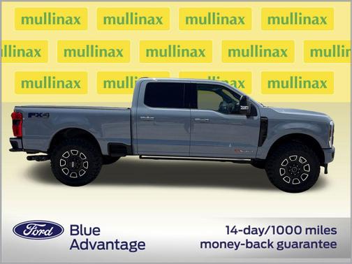 GLACIER GRAY 2025 Ford F-250 Platinum