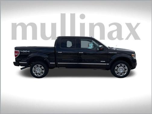 2013 Ford F-150 Platinum