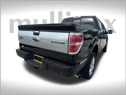 2013 Ford F-150 Platinum