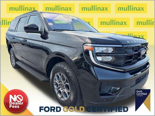 Agate Black Metallic 2025 Ford Expedition Active