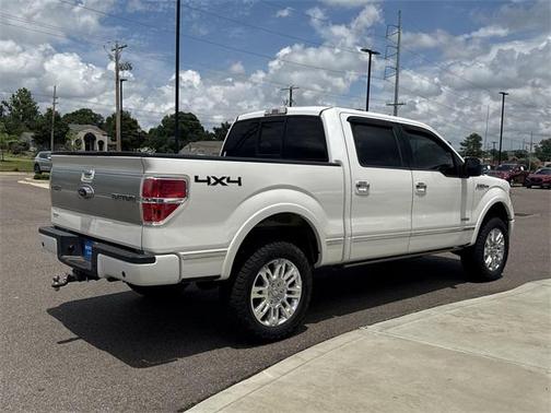 2013 Ford F-150 Platinum