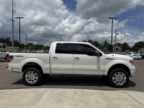 2013 Ford F-150 Platinum
