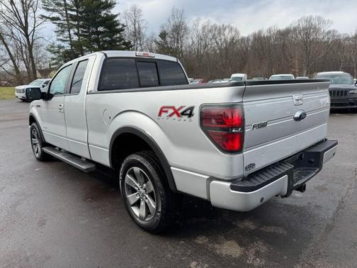 Ingot Silver Metallic 2013 Ford F-150 FX4