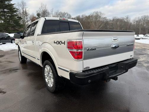 2010 Ford F-150 Platinum