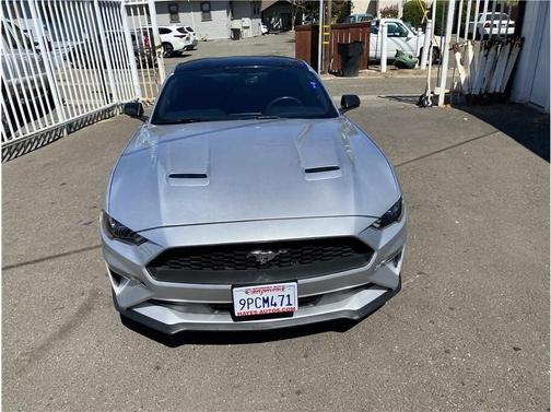 2019 Ford Mustang EcoBoost