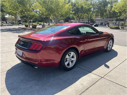 Red 2019 Ford Mustang EcoBoost