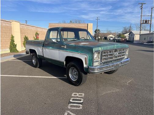 1979 Chevrolet C10/K10 Base