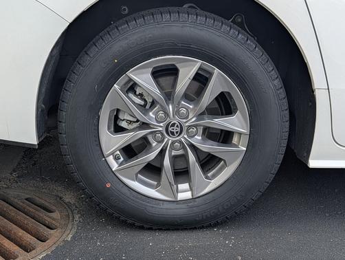 Ice Cap 2025 Toyota Sienna LE