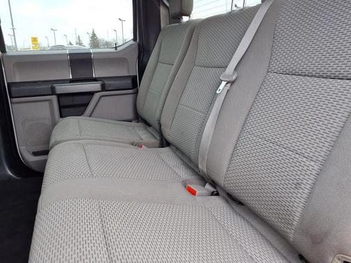 Oxford White 2019 Ford F-150 XLT