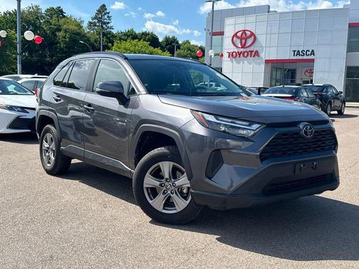 Magnetic Gray Metallic 2025 Toyota RAV4 XLE