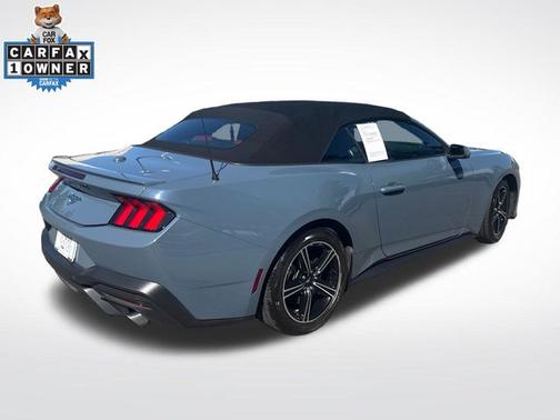 VAPOR BLUE METALLIC 2025 Ford Mustang ECOBOOST PREMIUM