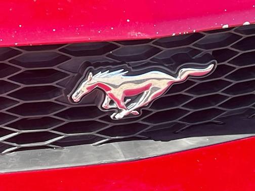 2007 Ford Mustang GT Premium