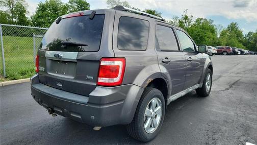 Sterling Gray Metallic 2010 Ford Escape Limited