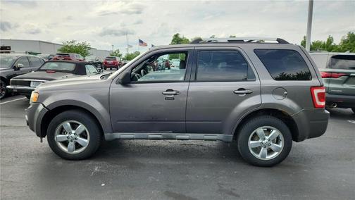 Sterling Gray Metallic 2010 Ford Escape Limited