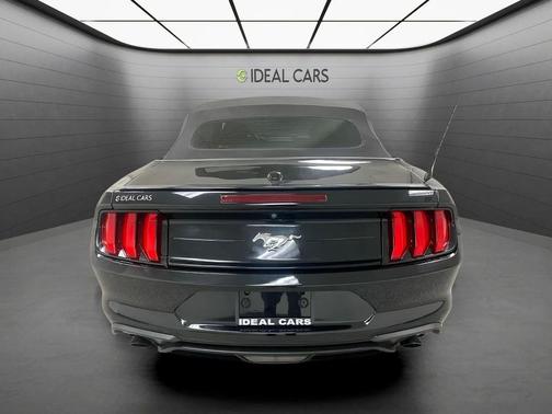 Shadow Black 2019 Ford Mustang EcoBoost
