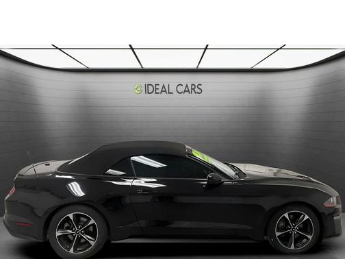 Shadow Black 2019 Ford Mustang EcoBoost
