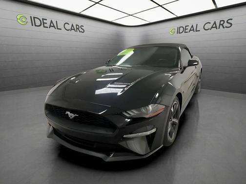 Shadow Black 2019 Ford Mustang EcoBoost