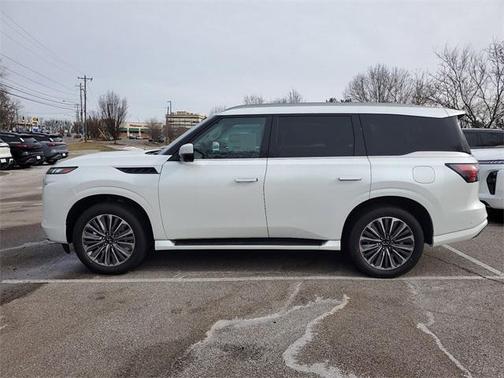 2025 INFINITI QX80 Luxe