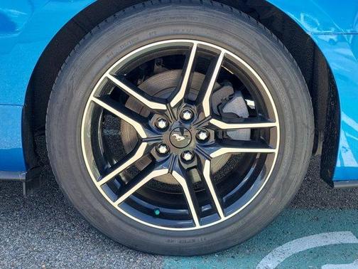 Velocity Blue Metallic 2019 Ford Mustang EcoBoost