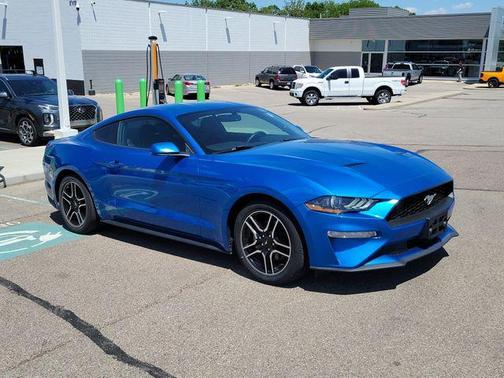 Velocity Blue Metallic 2019 Ford Mustang EcoBoost