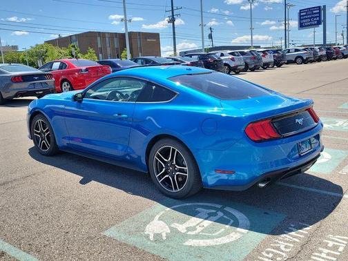 Velocity Blue Metallic 2019 Ford Mustang EcoBoost