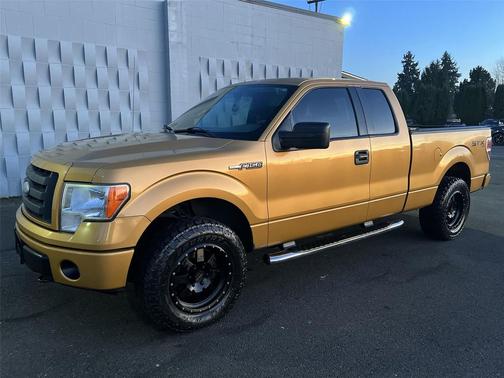 2009 Ford F-150 XL
