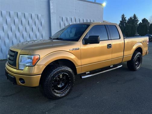 2009 Ford F-150 XL