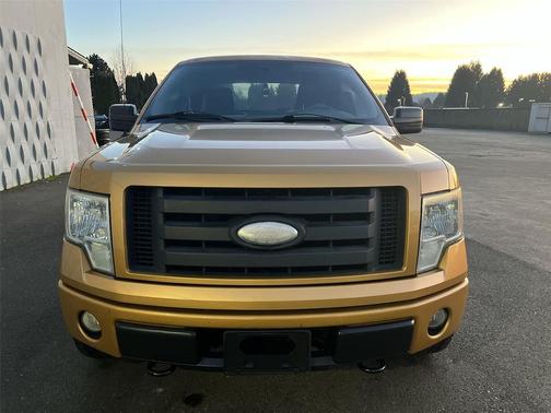 2009 Ford F-150 XL