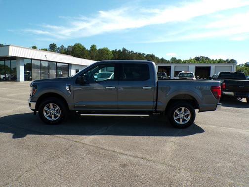 Gray Metallic 2025 Ford F-150 XLT