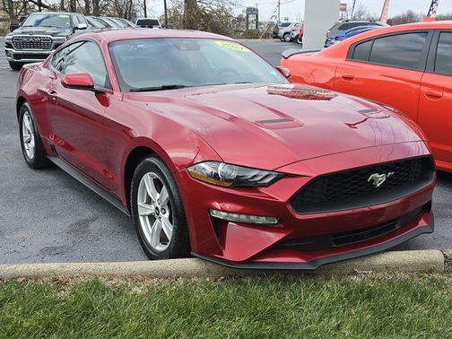 2021 Ford Mustang EcoBoost