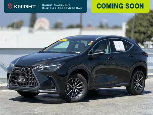 2024 Lexus NX 250 Base