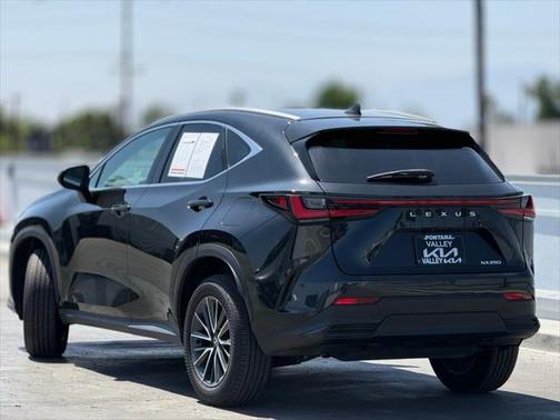 2024 Lexus NX 250 Base