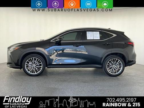 2023 Lexus NX 350h Luxury