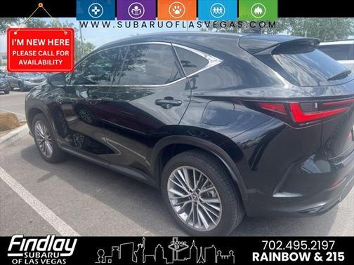 2023 Lexus NX 350h Luxury