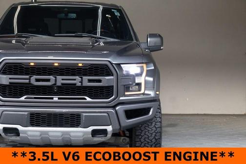 Magnetic 2019 Ford F-150 Raptor