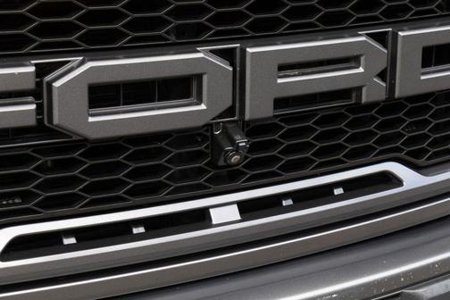 Magnetic 2019 Ford F-150 Raptor