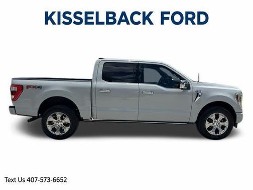Avalanche Gray 2023 Ford F-150 Platinum