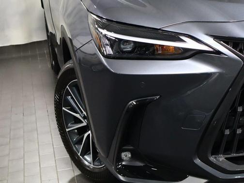 2025 Lexus NX 350 Base