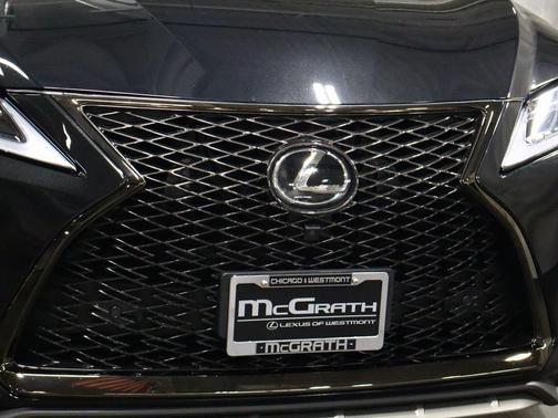 2022 Lexus RX 350 F SPORT Appearance