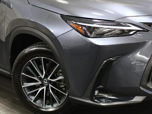 Cloudburst Gray 2024 Lexus NX 350 Premium
