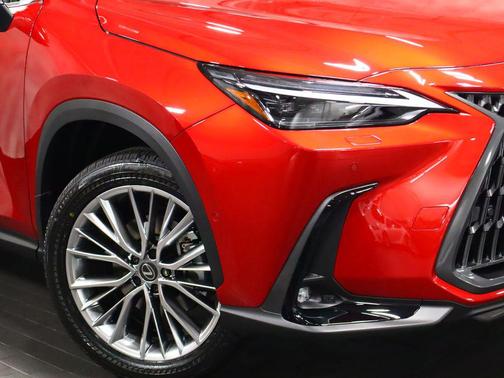 Infrared 2026 Lexus NX 350h Luxury