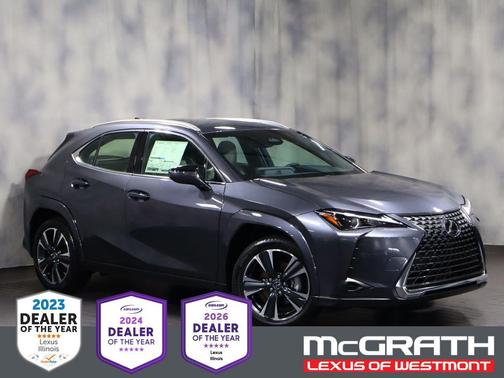 Cloudburst Gray 2026 Lexus UX 300h Premium