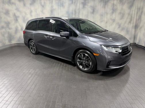 2024 Honda Odyssey Elite