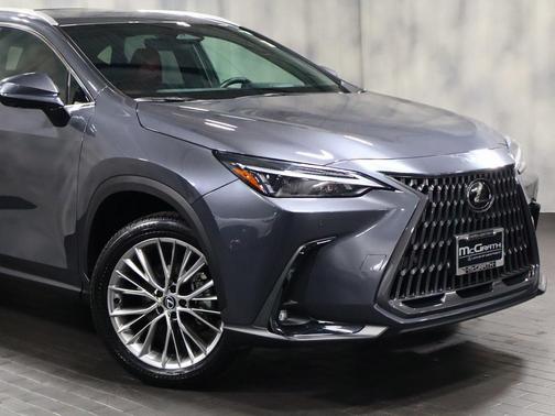 2025 Lexus NX 350h Premium