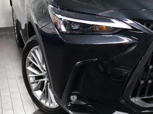 2025 Lexus NX 350h Premium
