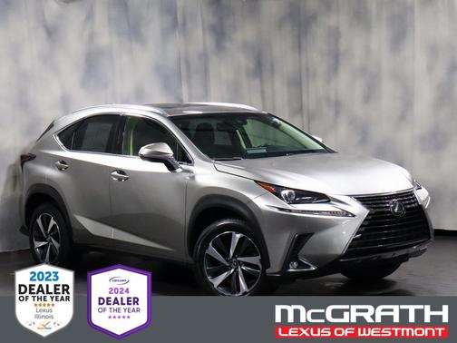 2019 Lexus NX 300 F Sport
