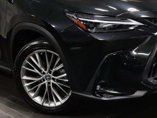 2023 Lexus NX 350 Luxury