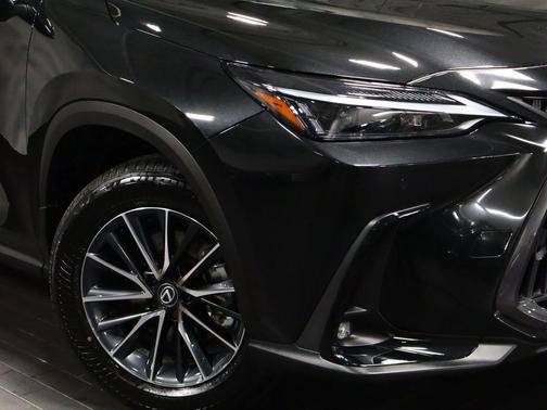 2025 Lexus NX 350 Base