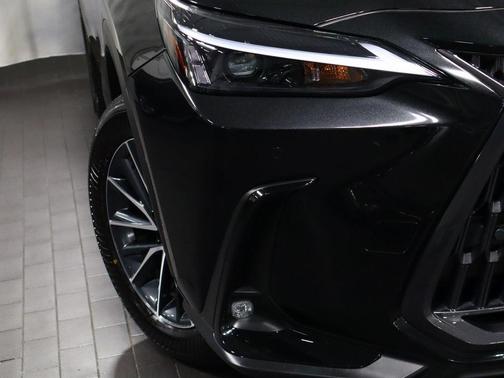 2025 Lexus NX 350 Base